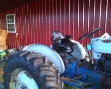 chat noir et Ford 4000