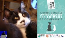 Journée mondial contre l'abandon des animaux de compagnie -- affiche