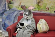 chat aux genoux d'un lapin-de-Pâques